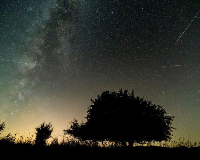perseidák