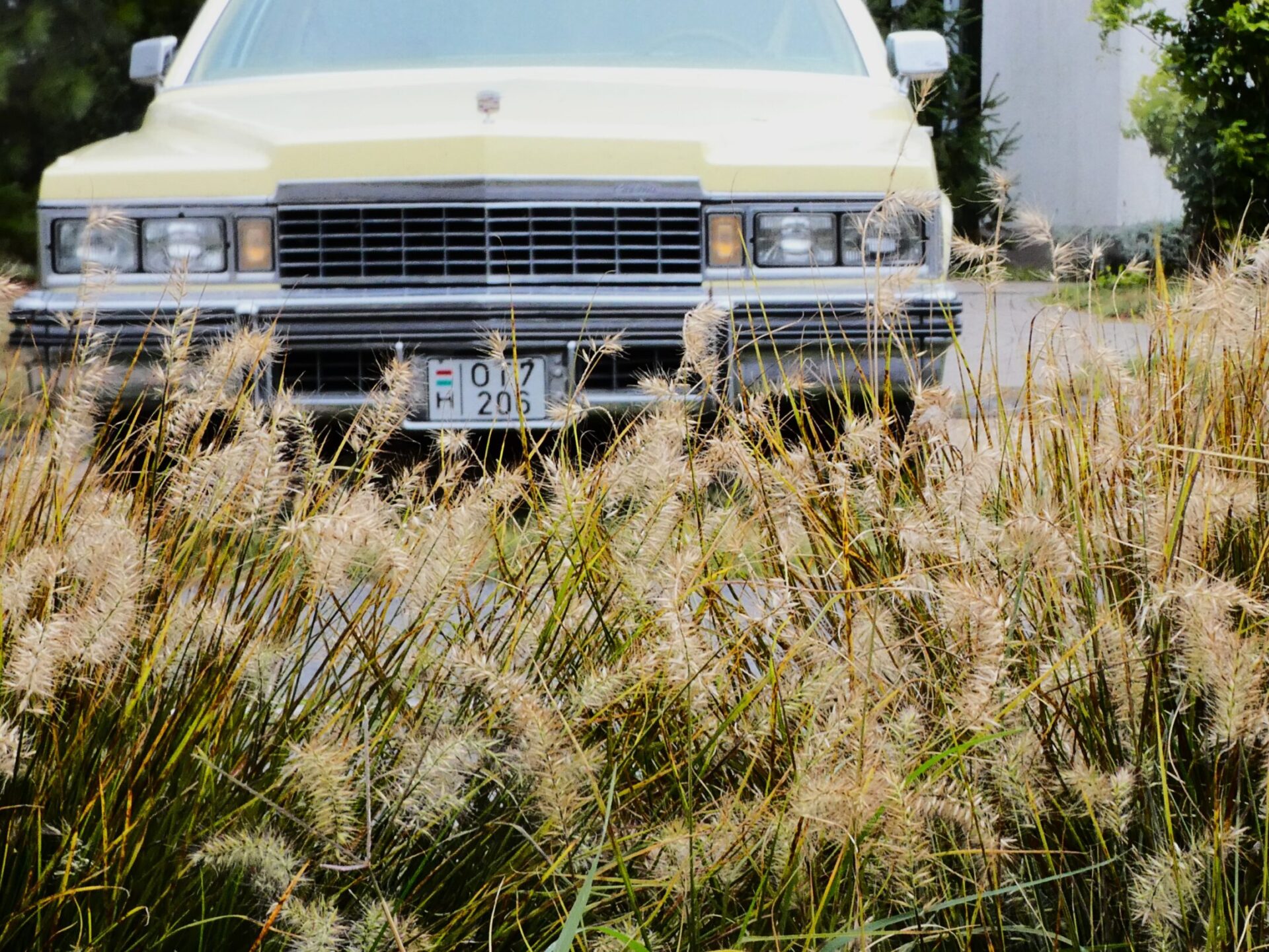 cadillac oldsmobil Balatonakali