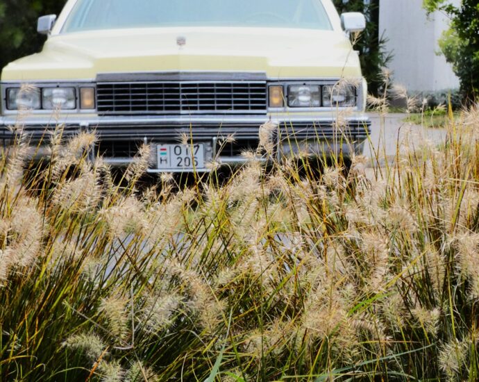 cadillac oldsmobil Balatonakali