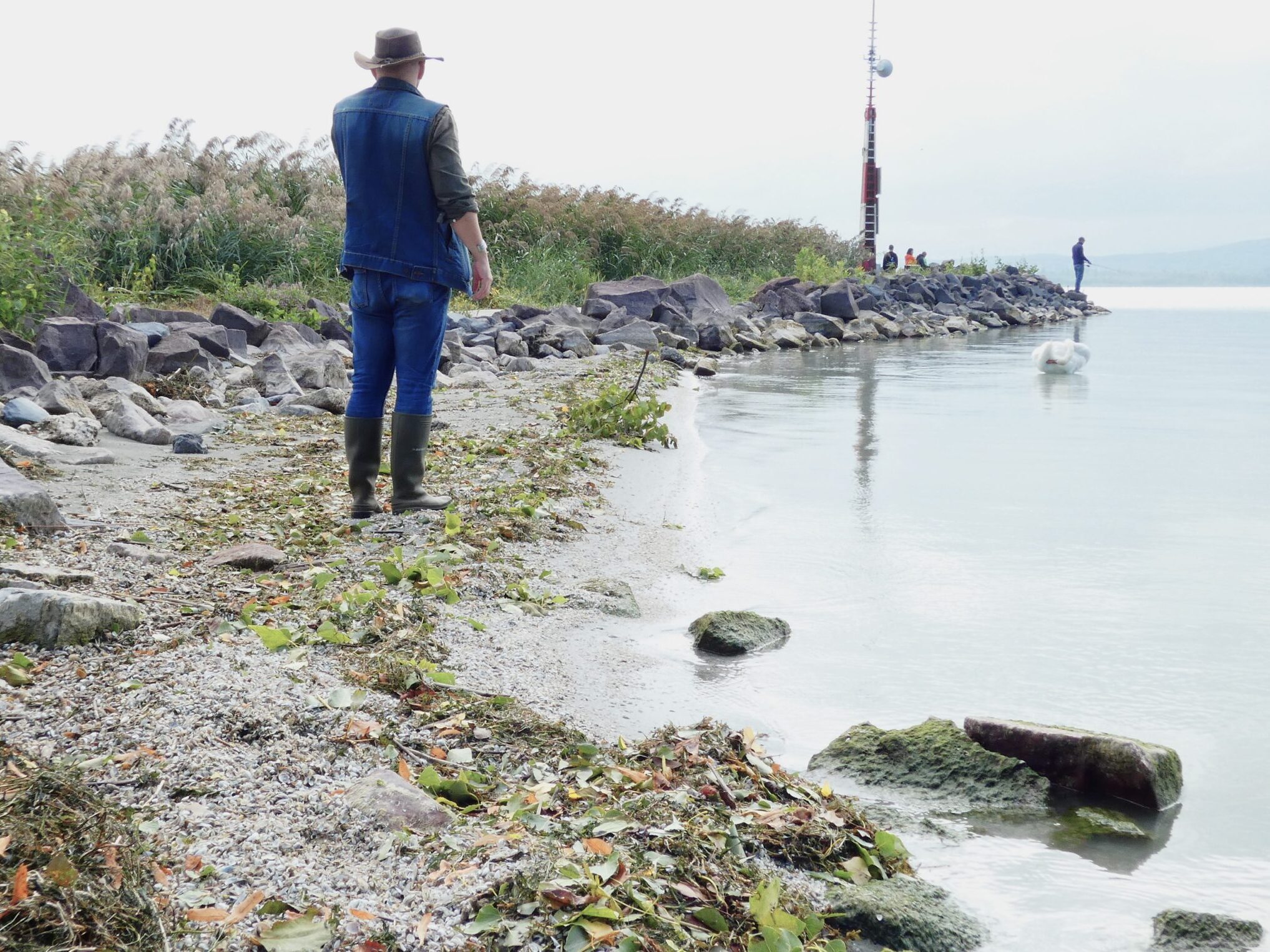 Balaton tihany fecskepusztulás Centauri