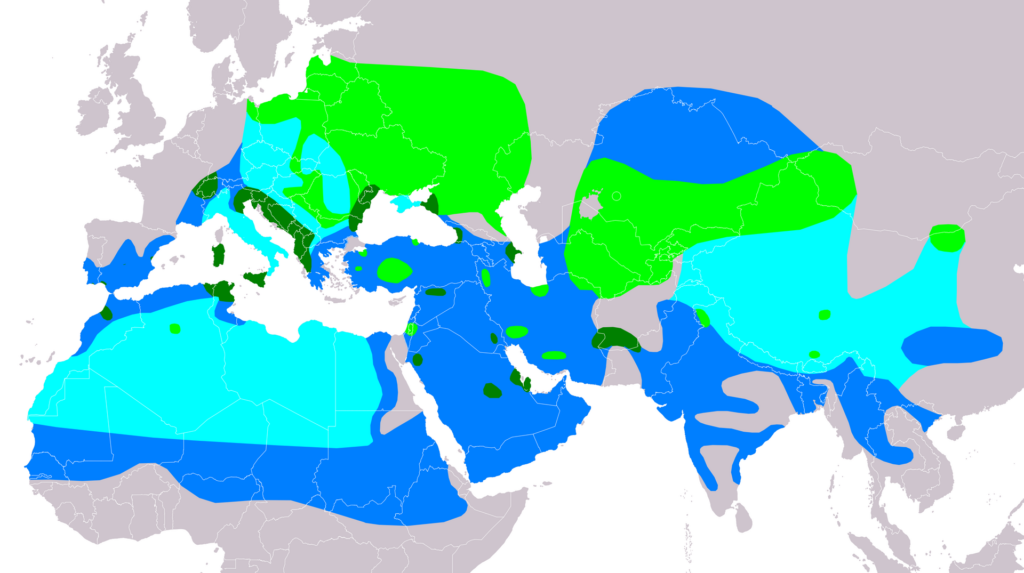 Cigányréce Aythya nyroca récék Magyarország és Európa madarai vízimadarak wiki elterjedés térkép