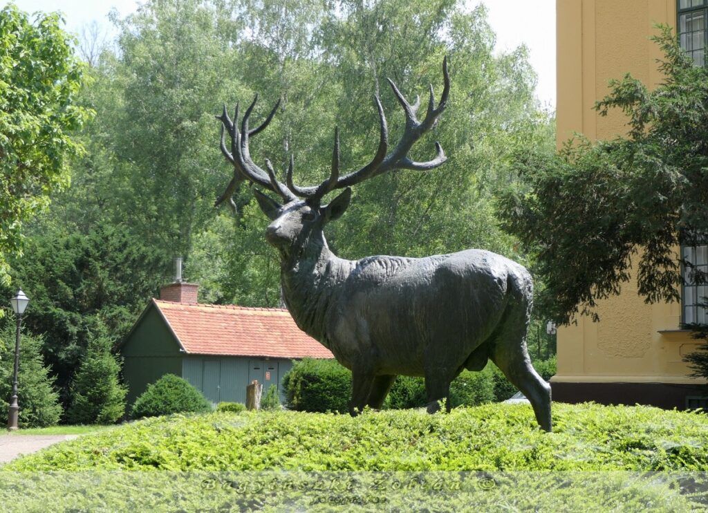 gímszarvas karapancsai bika világrekord