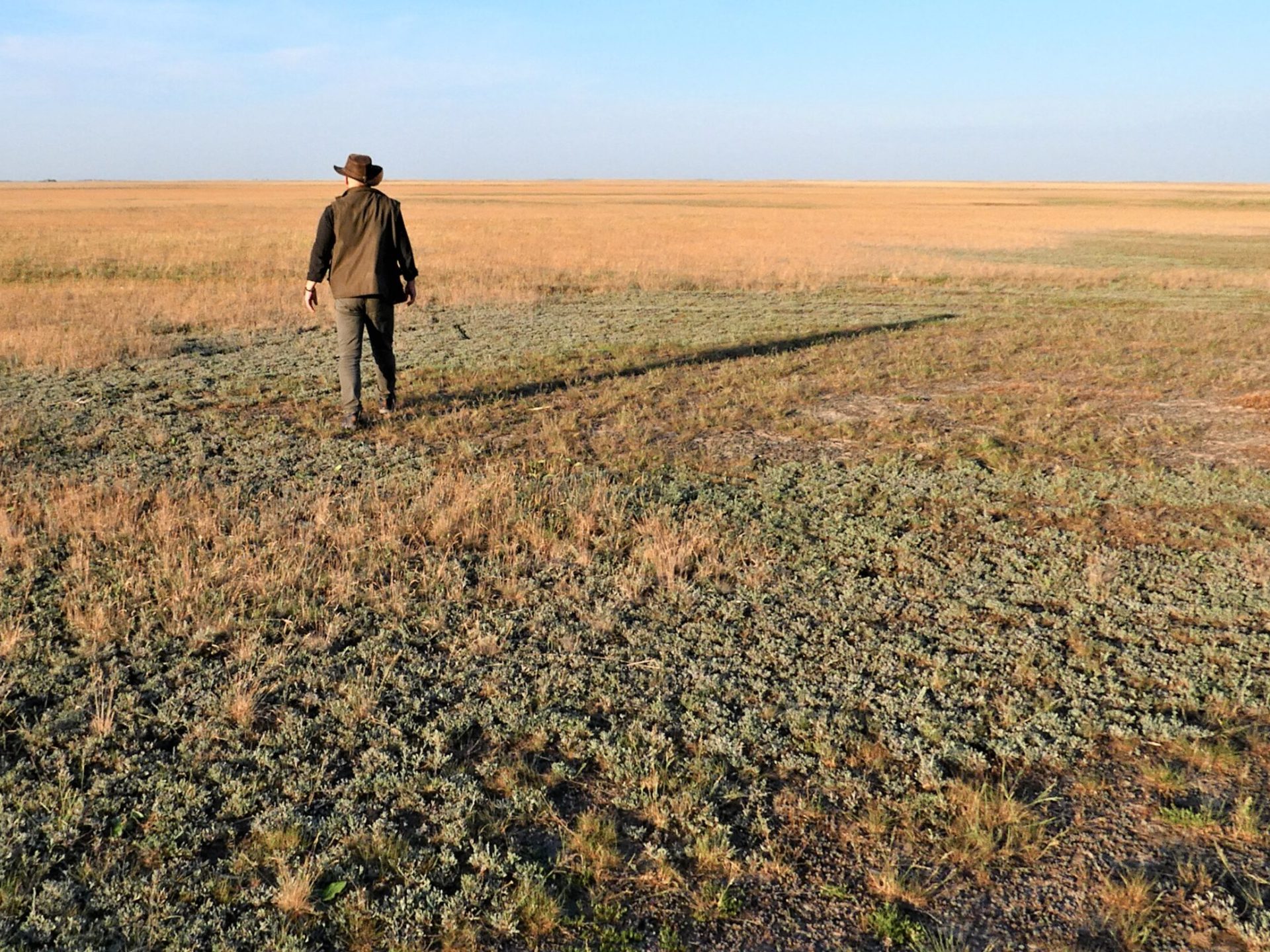 hortobágy 52 alföld puszta nyár hőség