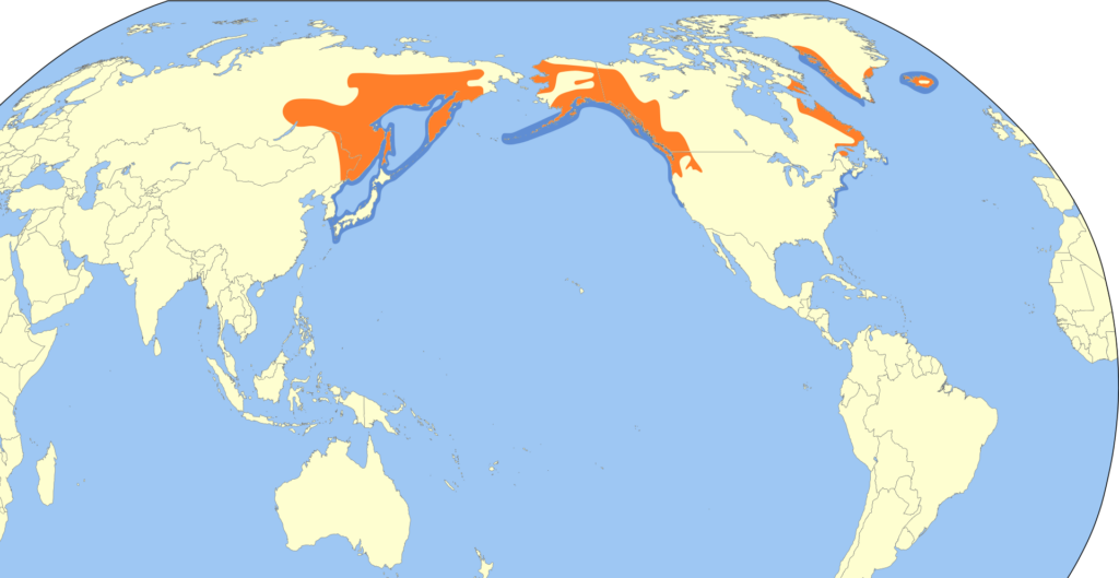 tarka réce Európa madarai wiki elterjedés térkép