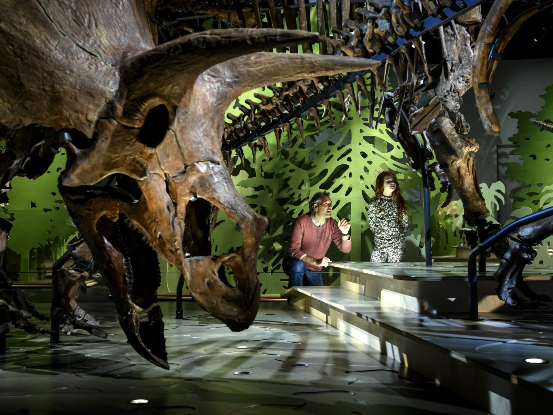 dinoszaurusz régészet őslénytan