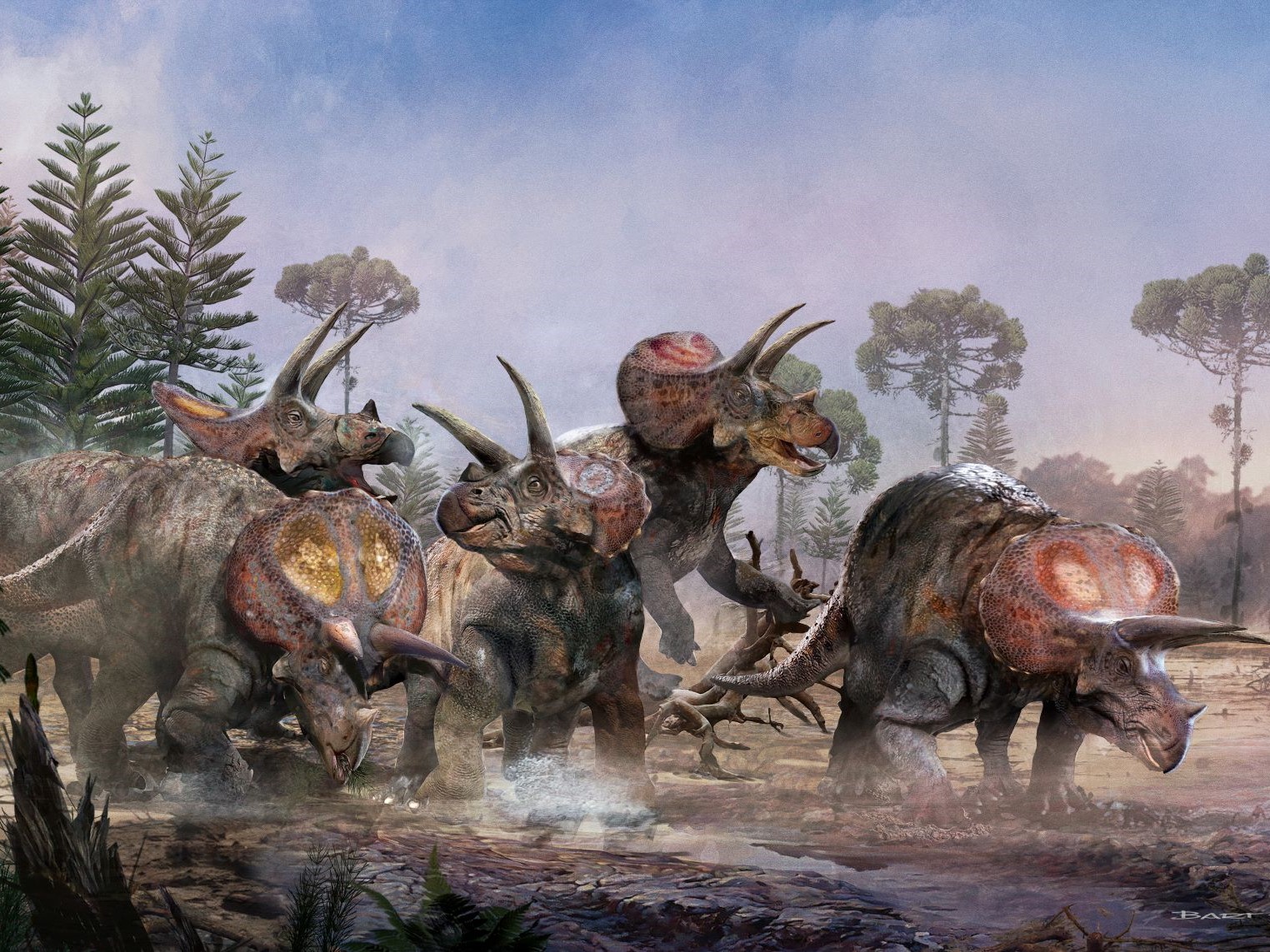 dinoszaurusz triceratopsz Bart Bus_Naturalis