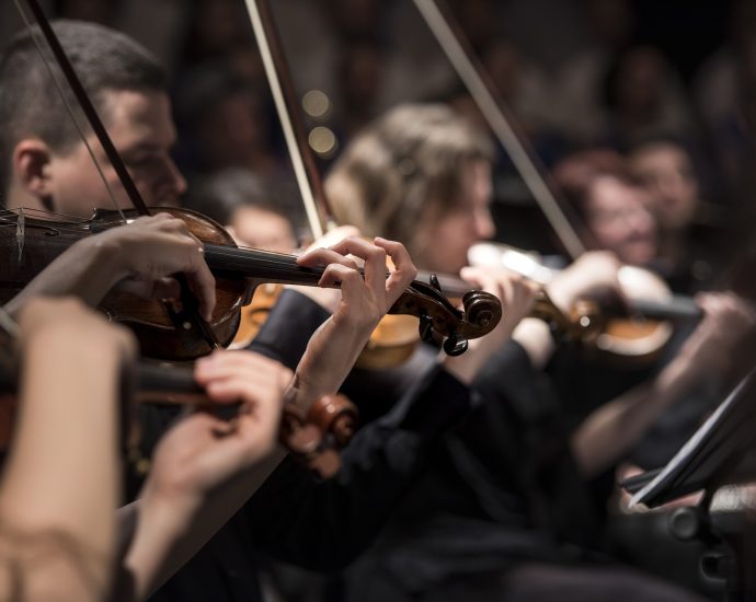 zene klasszikus zene zenekar koncert művészet pixa 2