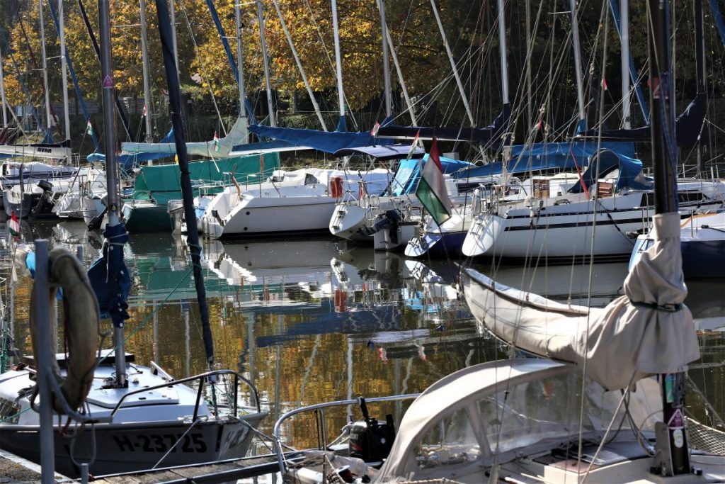 Balaton madarai madárvilága madárvonulás ősz 12