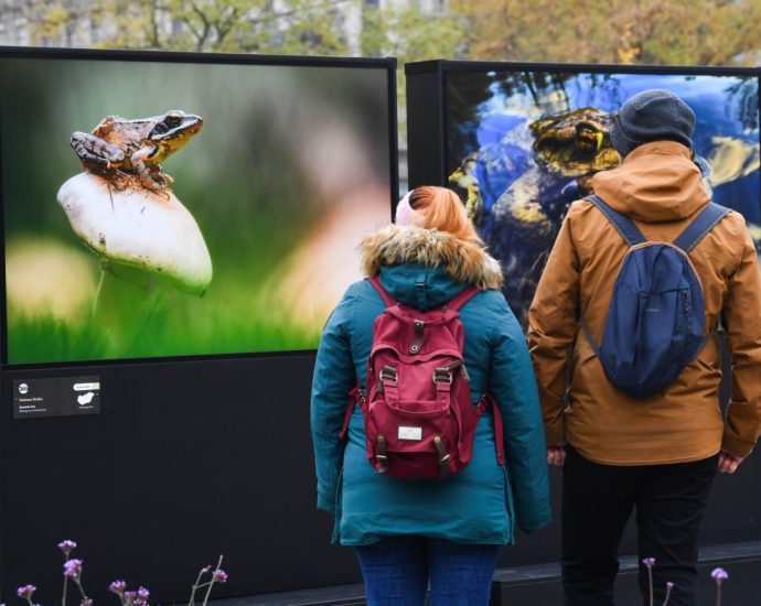 Magyarország állatvilága Városliget Budapest kiállítás 1