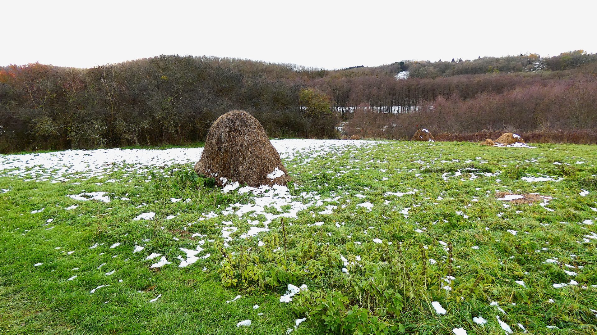 havazás november