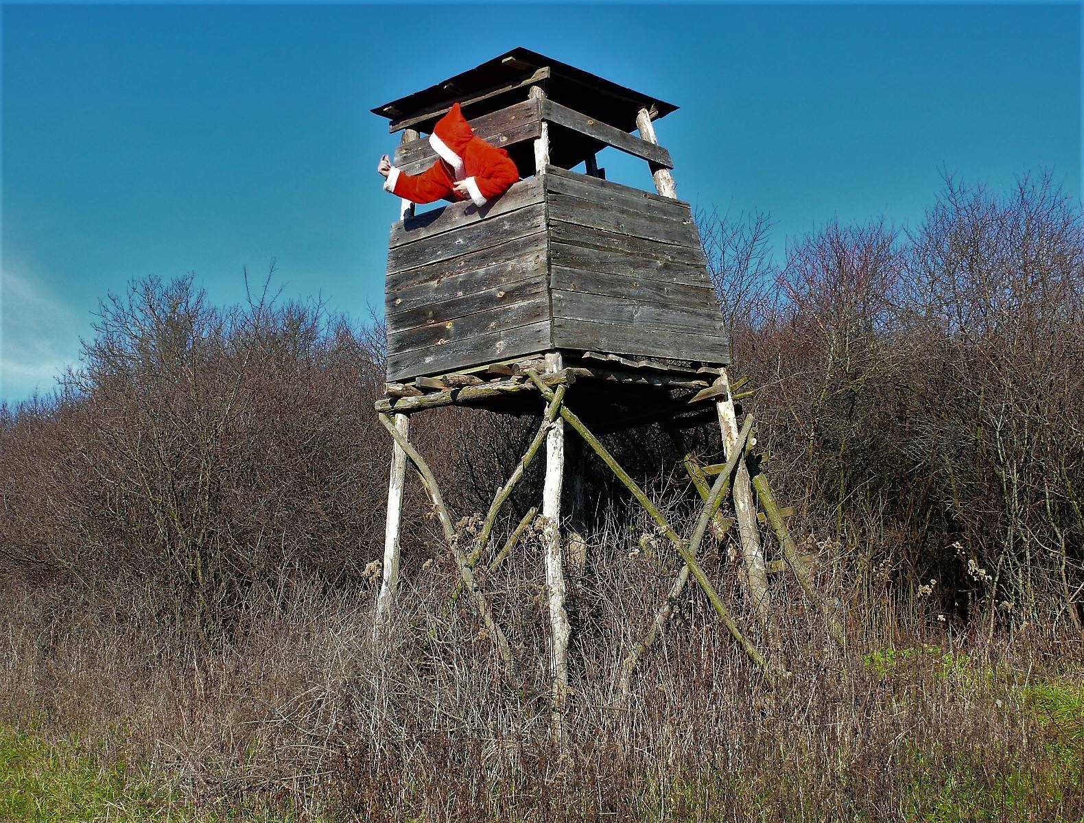 Mikulás télapó Santa Claus Centauri Cenweb vadles magasles természet