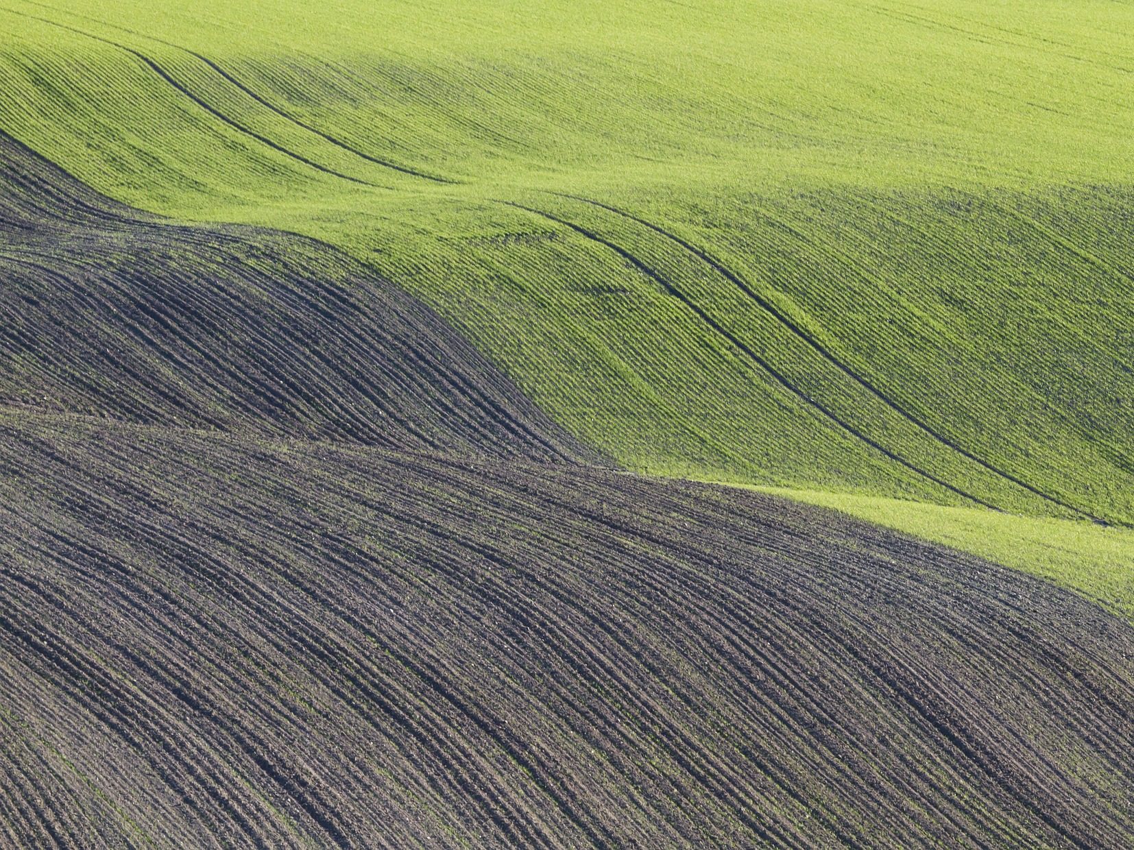 agrometeorológia mezőgazdaság vetés