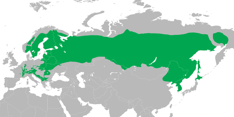 császármadár elterjedése térkép wiki