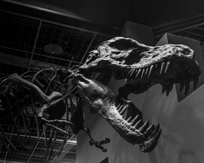 dinoszaurusz tirrex természettudományi múzeum pixa