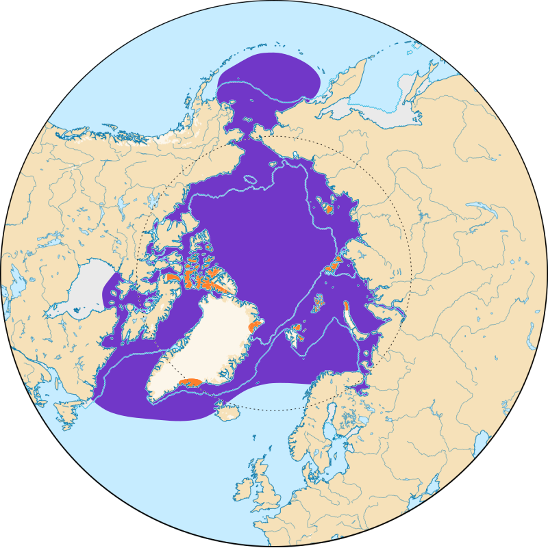 hósirály elterjedése térkép Wikipédia