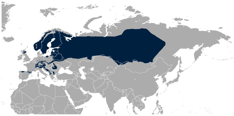 siketfajd elterejedési területe wiki eurázsia