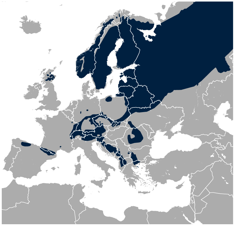 siketfajd fajdok tetrao urugallus wiki elterjedése térképen Európa