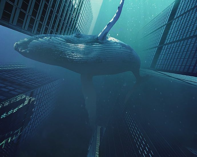 deepseek