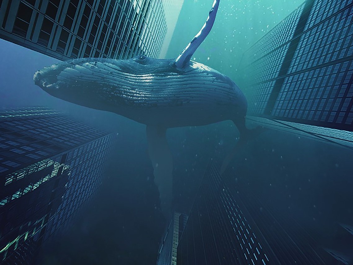 deepseek