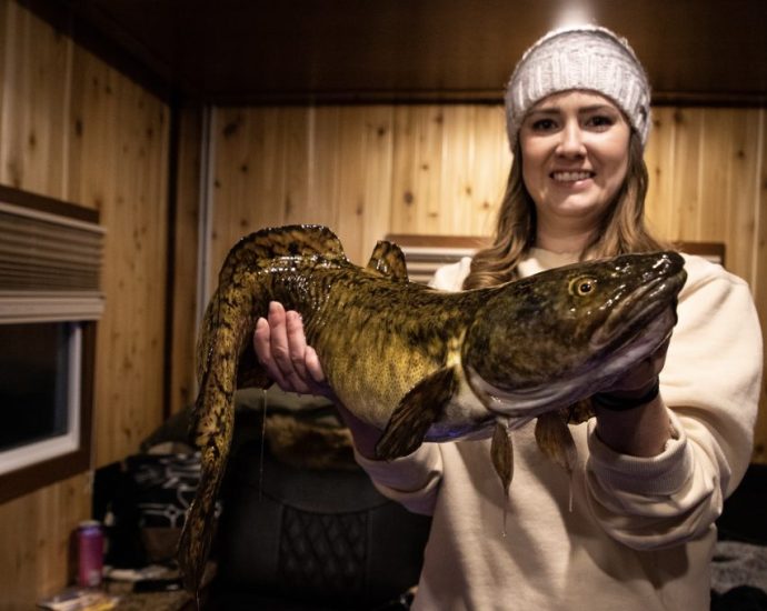 menyhal horgászat magyarország halai halászat halfauna halak 1879