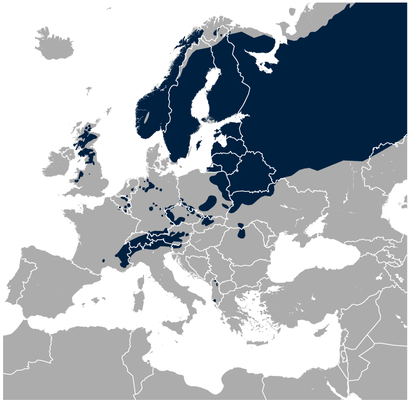 nyírfajd elterjedése Európa wiki