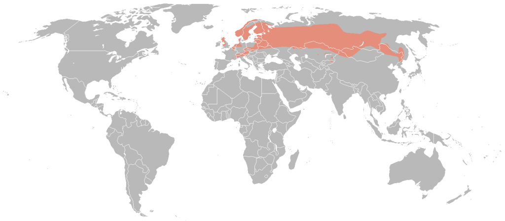 nyírfajd elterjedése térkép wiki