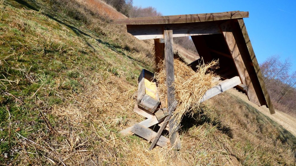 2000 vadetető birtok őzetető kukorica 1