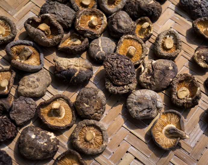 gomba konyha shiitake szárított gomba pixa