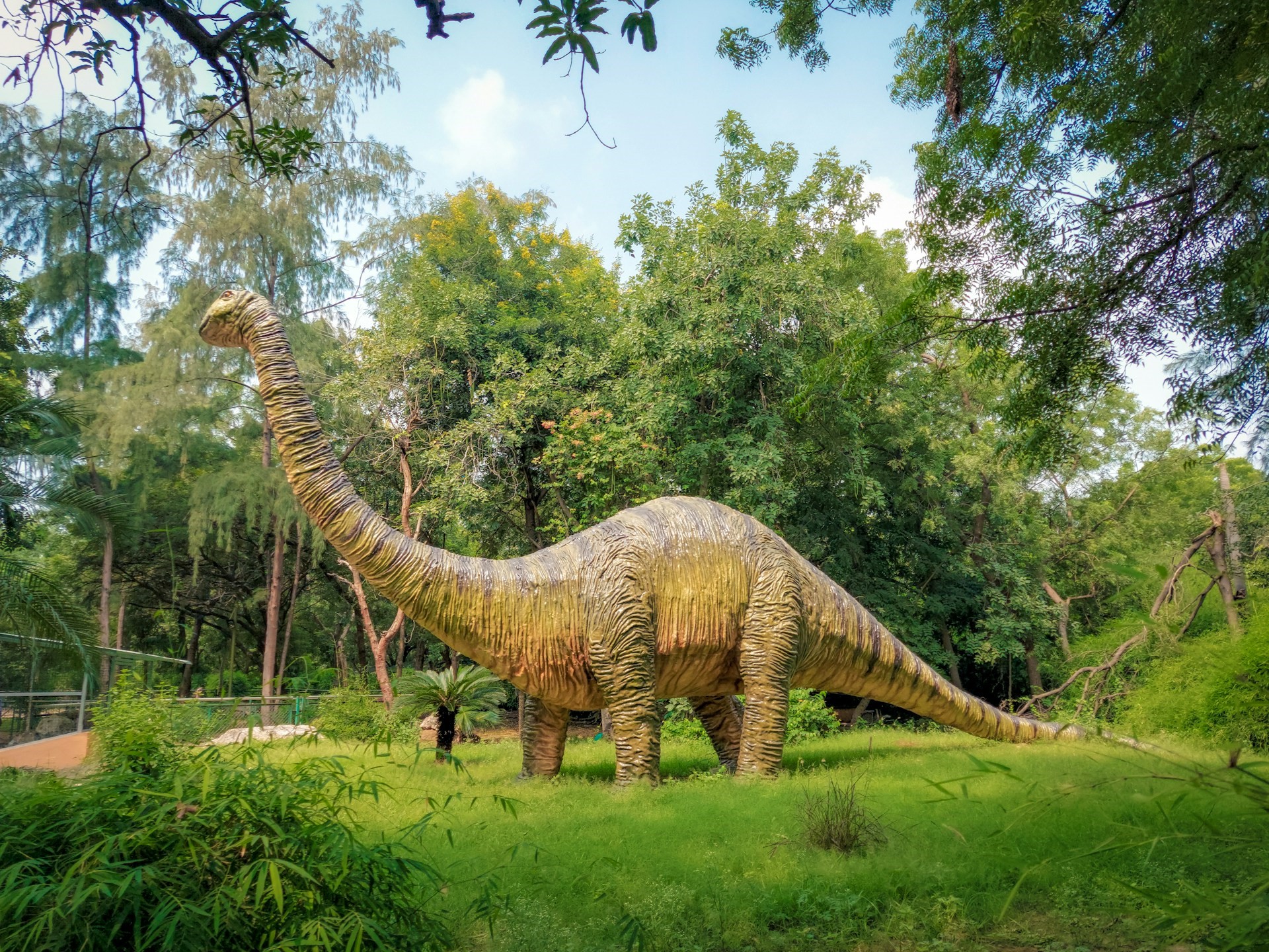 új dinoszauruszfajt