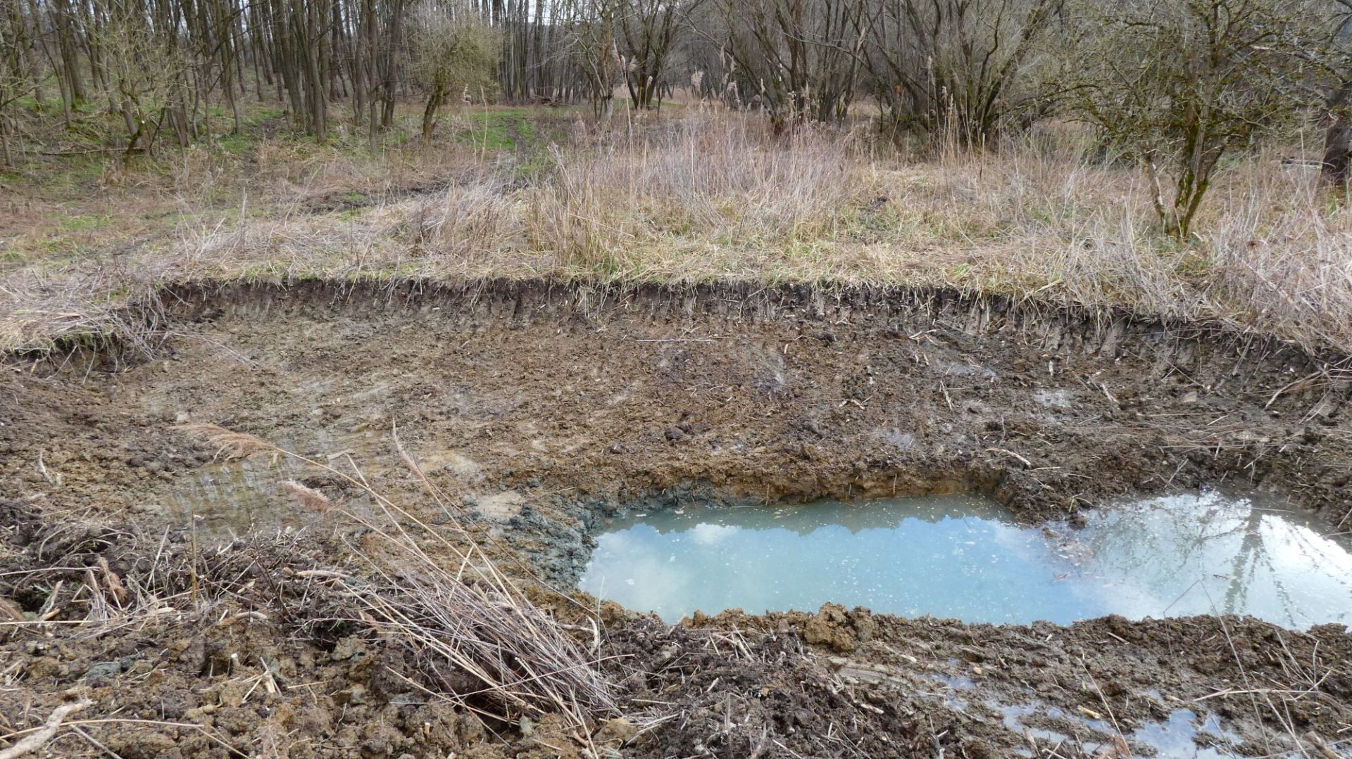 kisberek első tó 2000 élőhely revitalizáció vizes élőhelyek kétéltűvédelem