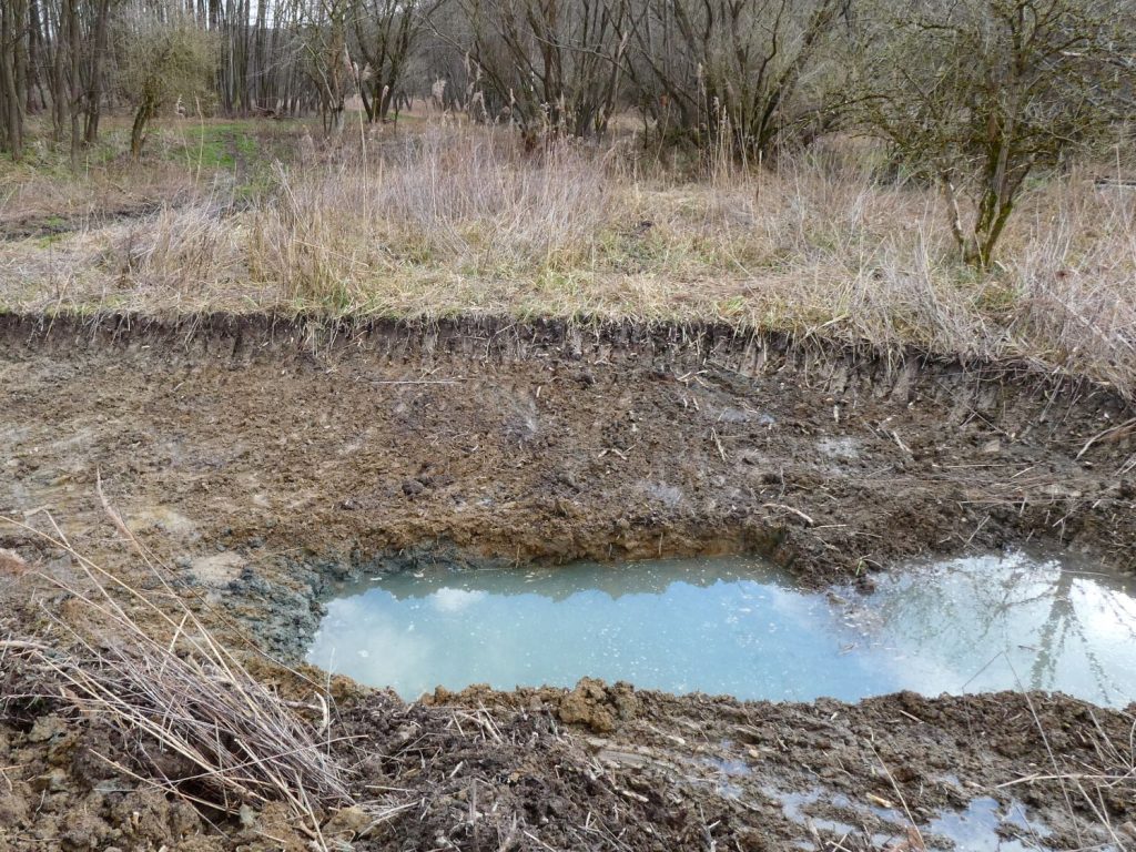 kisberek első tó 2000 élőhely revitalizáció vizes élőhelyek kétéltűvédelem
