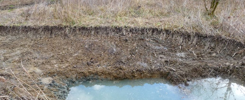kisberek első tó 2000 élőhely revitalizáció vizes élőhelyek kétéltűvédelem