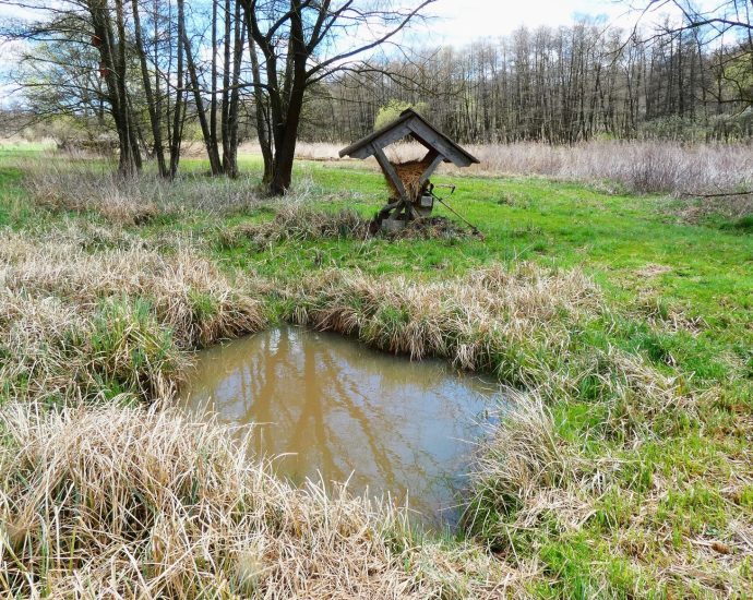 birtok kert 2000 őzetető 2025.03.31.