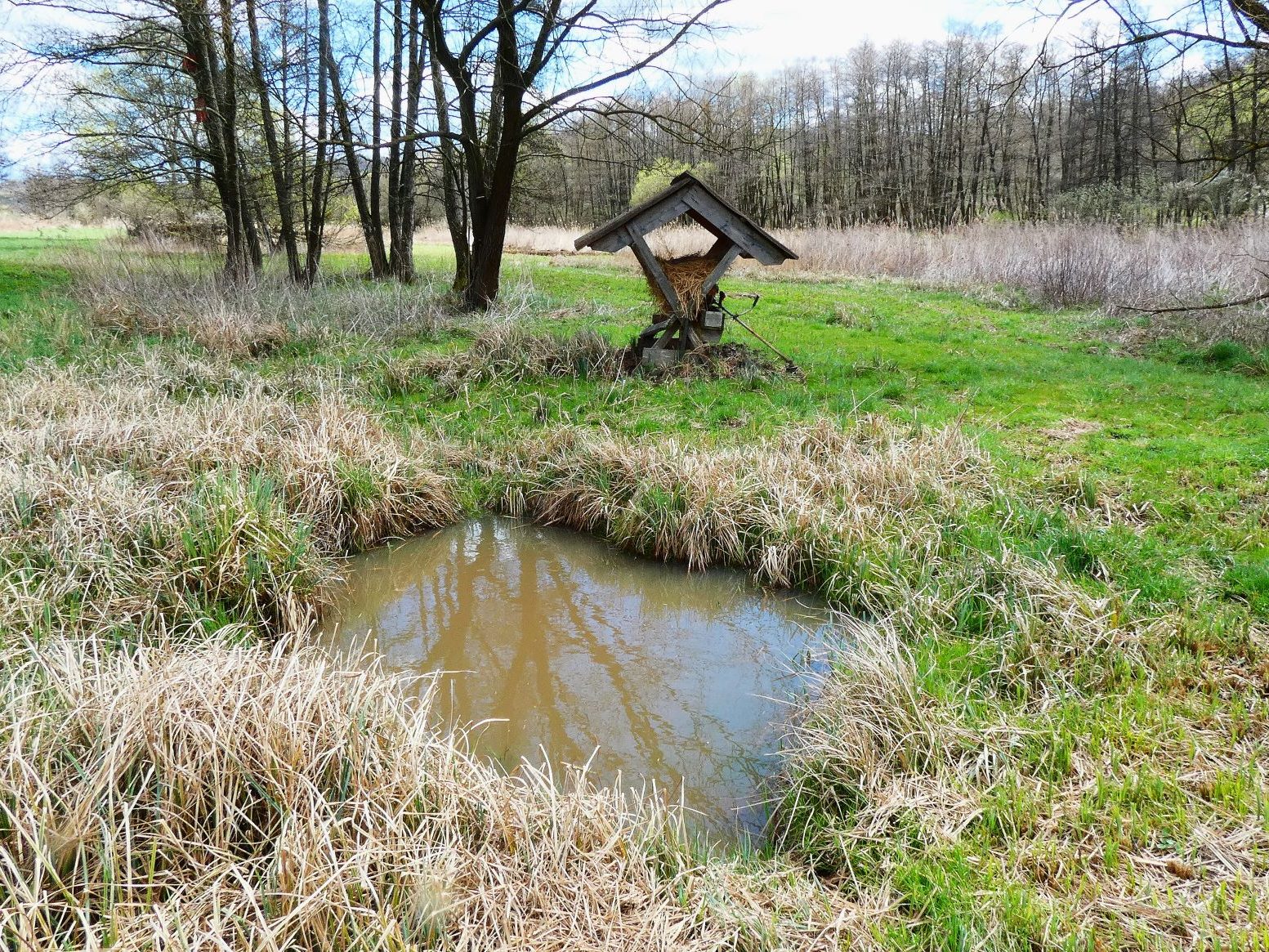 birtok kert 2000 őzetető 2025.03.31.