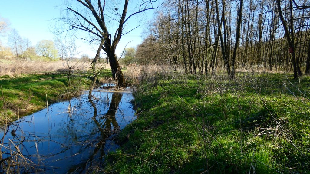 2000 patakfotók árasztott revitalizált patak 2025 Hód-víz 2