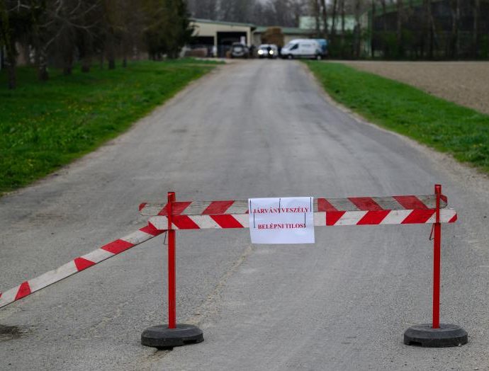 száj- és körömfájás videó mti