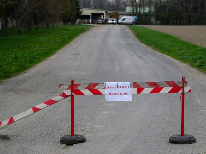 száj- és körömfájás videó mti