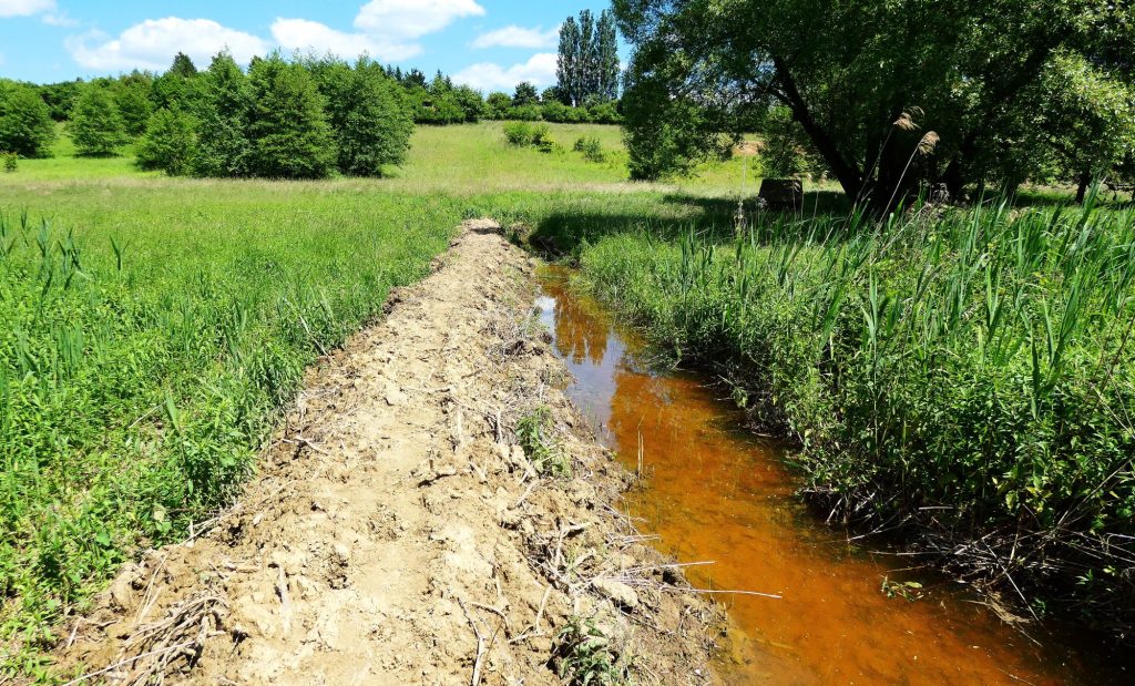 2000 Miért vörös a lápok mocsarak vize Edward-csatorna vizes élőhely 1