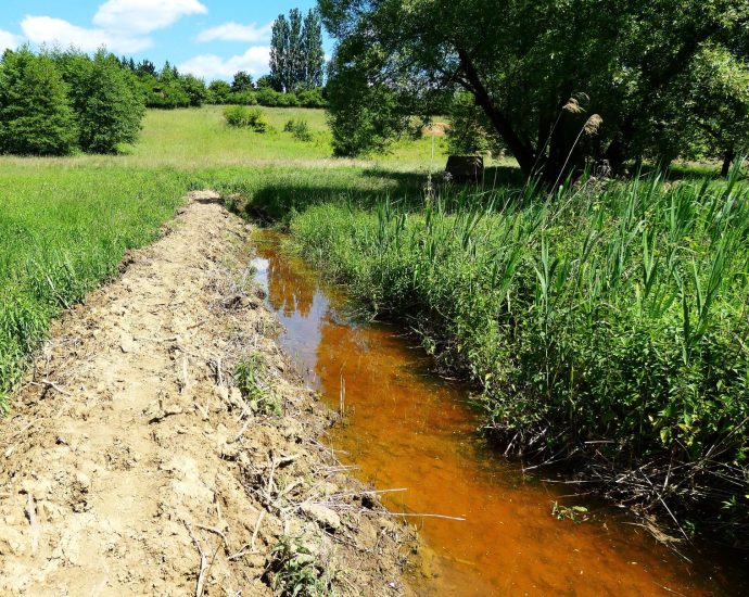 2000 Miért vörös a lápok mocsarak vize Edward-csatorna vizes élőhely 1
