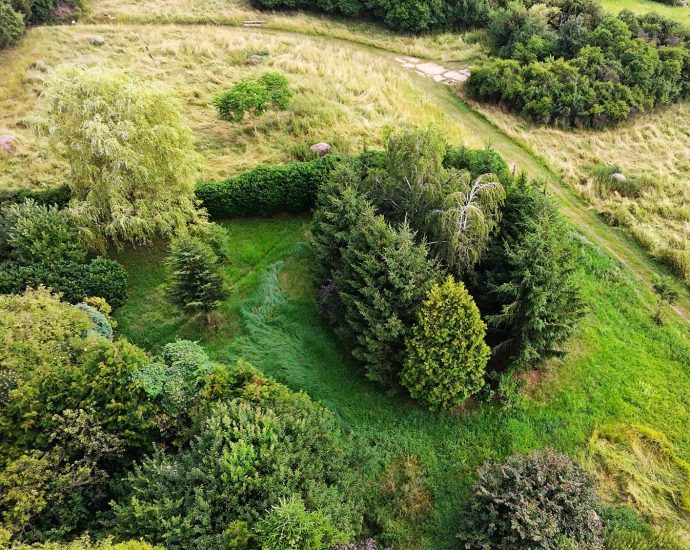 2000 Drón drónfelvétel légifotó birtokról erdős sztyepp Angolkert Kisrét Őskökényes