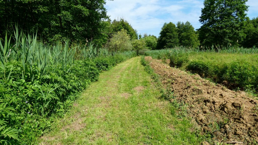 2000 fűnyírás és természetvédelem sétány patakpart Nagypatak élőhely 5