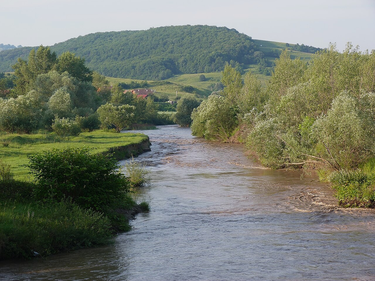 Nagy-Küküllő Székelykeresztúr 2013