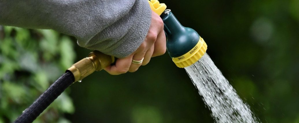 közösségi locsolást szerveznek a budapesti fákért