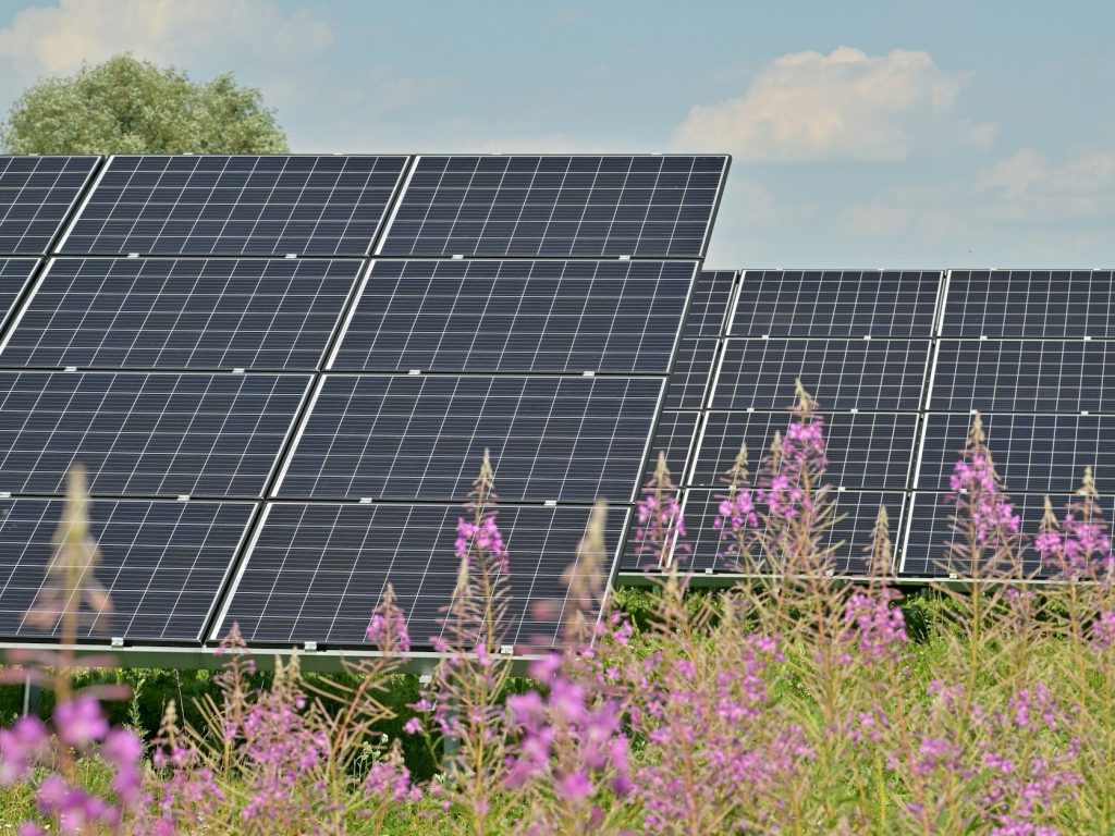 napelemes rekordok napelem napenergia megújuló energia