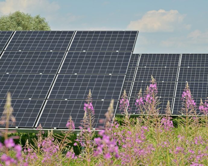 napelemes rekordok napelem napenergia megújuló energia