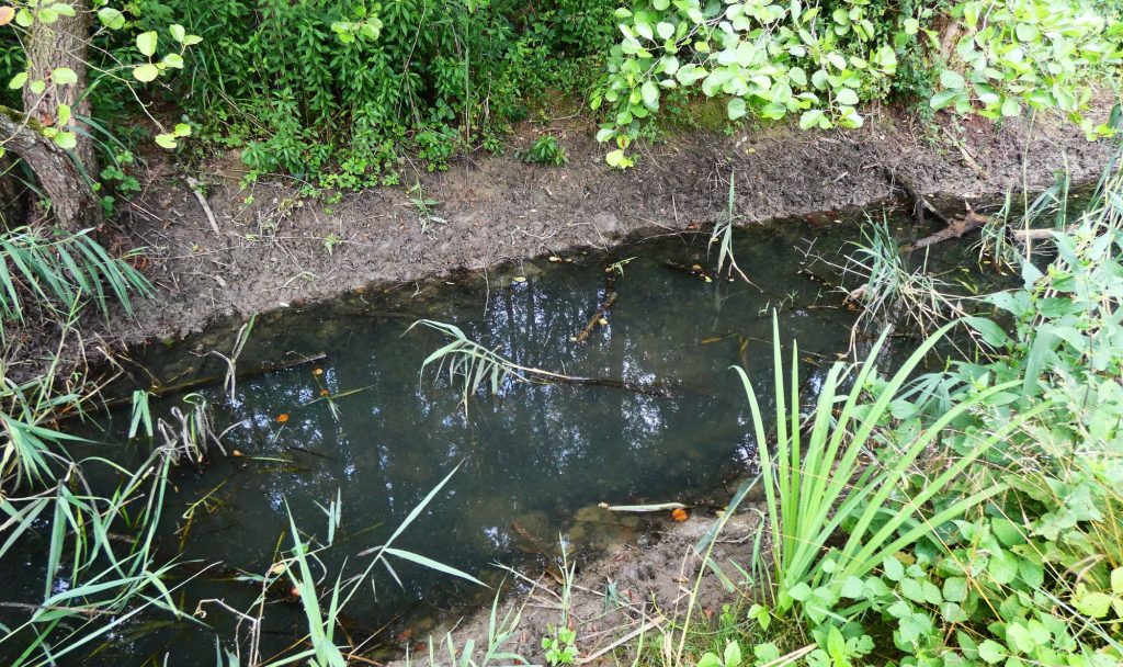 2000 Aszály után jelentés összefoglaló Felső-víz 2025.07.07. reggel 07