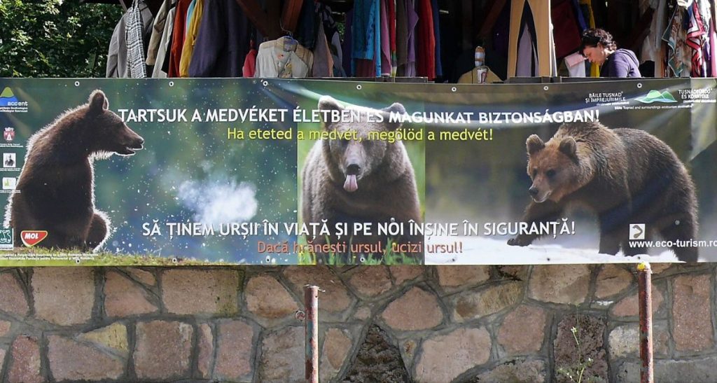 Tusnádfürdő medve kirándulás túra Tusnád 8