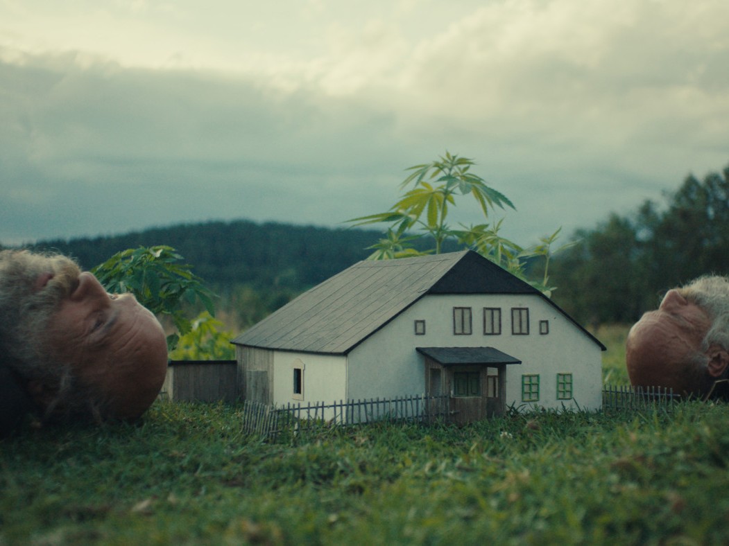 vadonban megőrülni film filmplakát karlovy vary