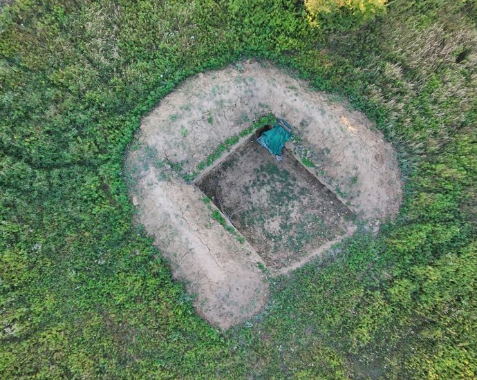 2000 Gyurgyalag Merops apiaster telep fotózás lessátor fészkelés