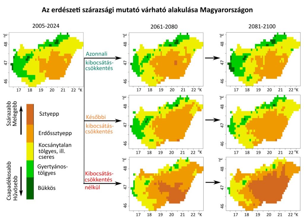 a-hazai-termeszetes-erdotarsulasoknak-kedvezo-klimat-a-sztyepp-valthatja-fel-a-jovoben-eltunhetnek-a-bukkoseink-8844-1024x740